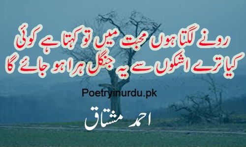 2 Line Sad Shayari in Urdu