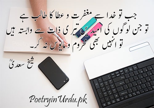 urdu sayings