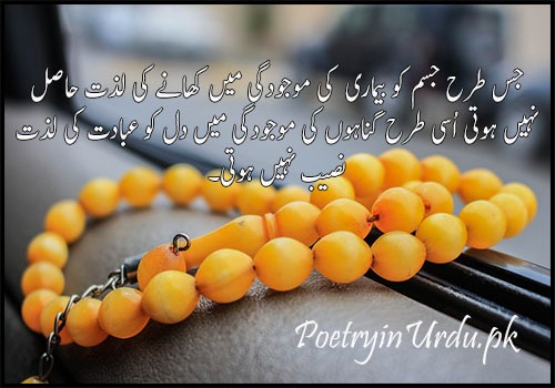 Quotes of Islam in Urdu