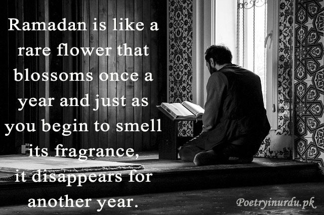 happy ramadan quotes