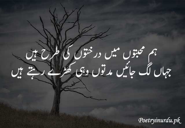 muhabat poetry urdu