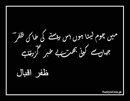 2 lines Zafar Iqbal Poetry