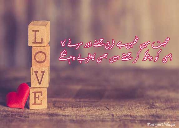 Ghalib Shayari on Life Love