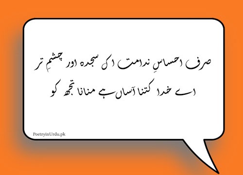 Islamic Quotes in Urdu 2 Lines