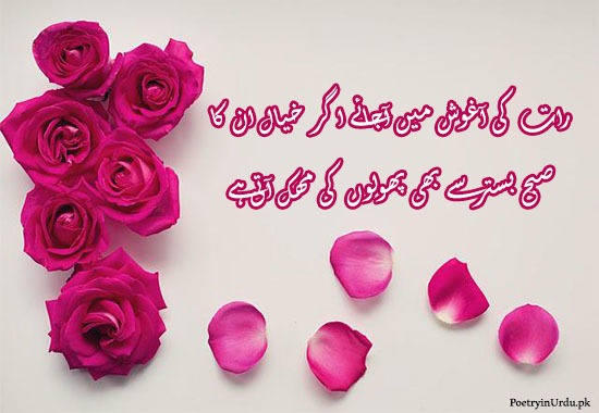 Rose poetry in urdu