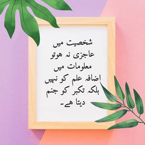 deep-words-in-urdu-fb